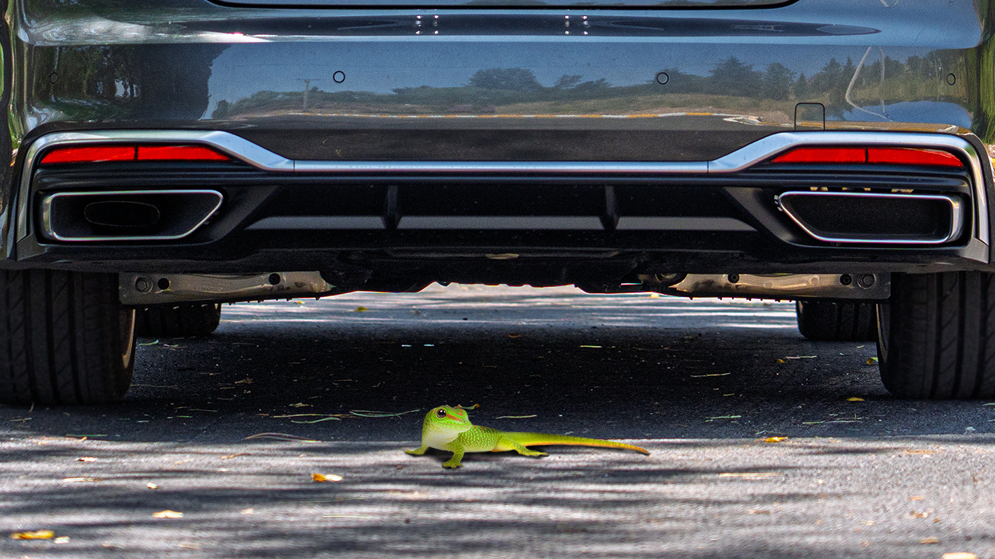 A green gecko stands on the ground beneath the rear bumper of a parked car.